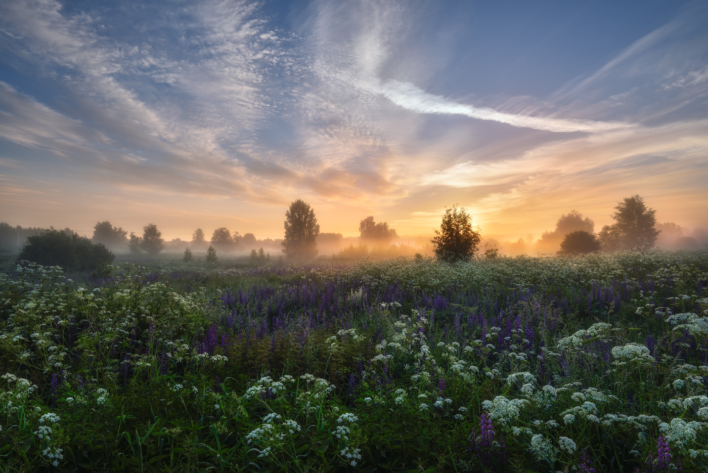 ранним утром