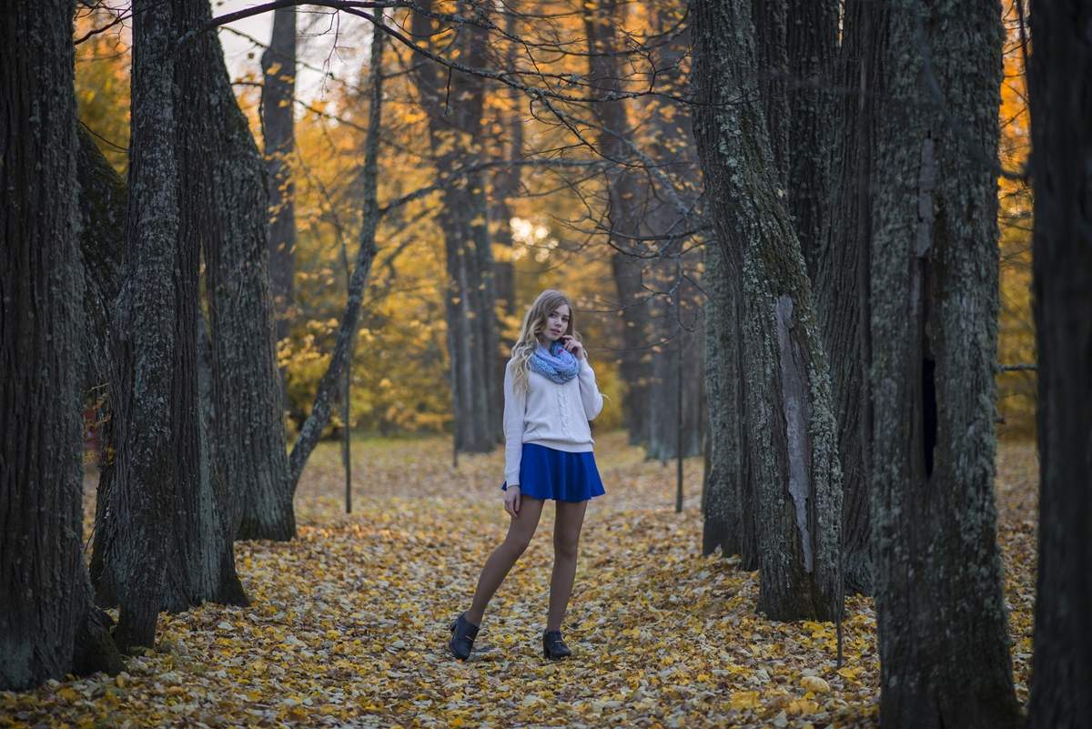 В старом парке