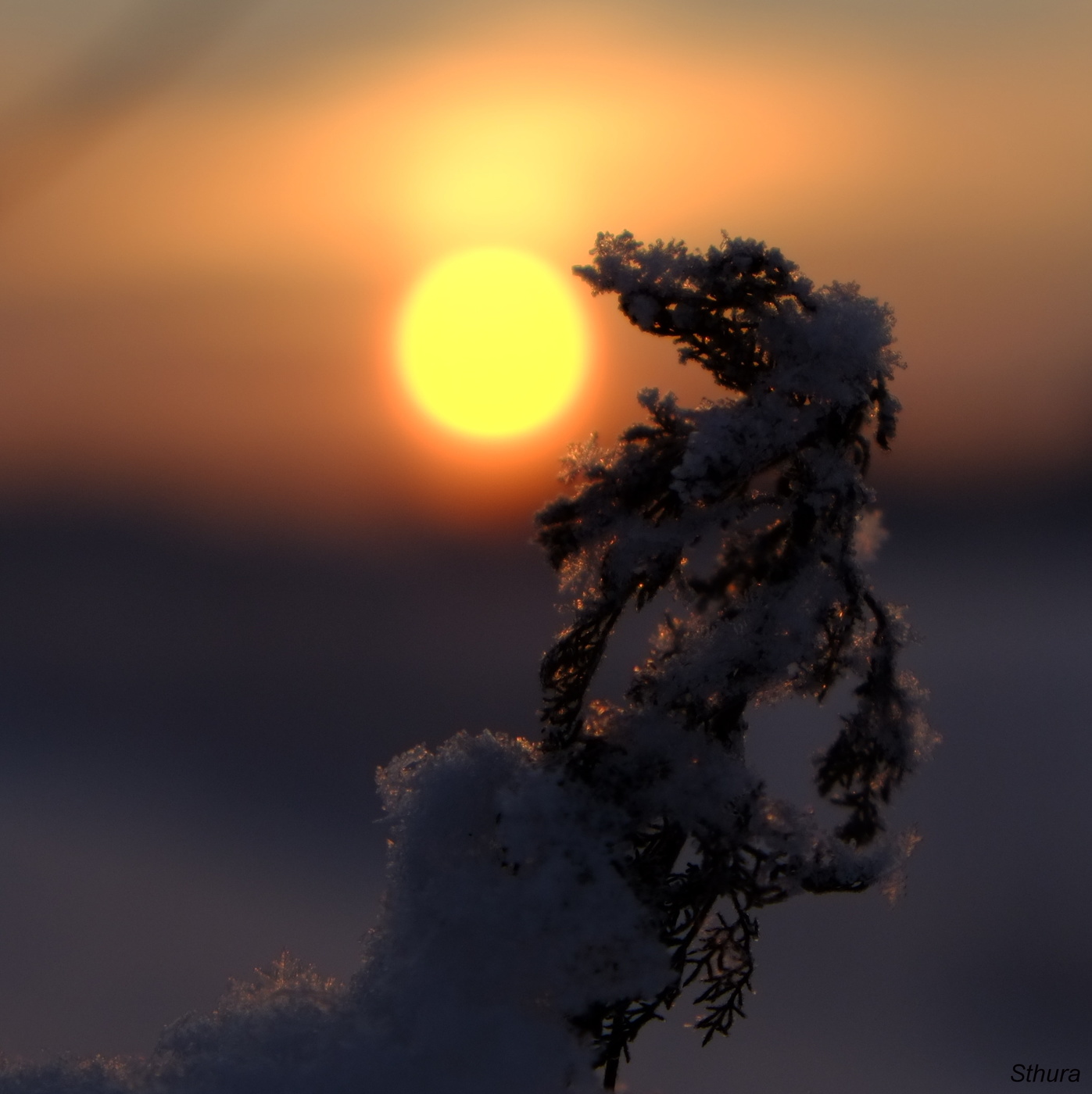 Сейчас проглочу :)