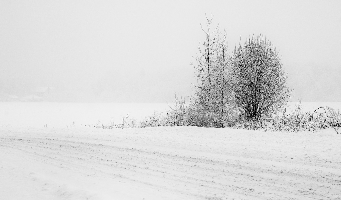 "Зима. Что делать нам в деревне?"
