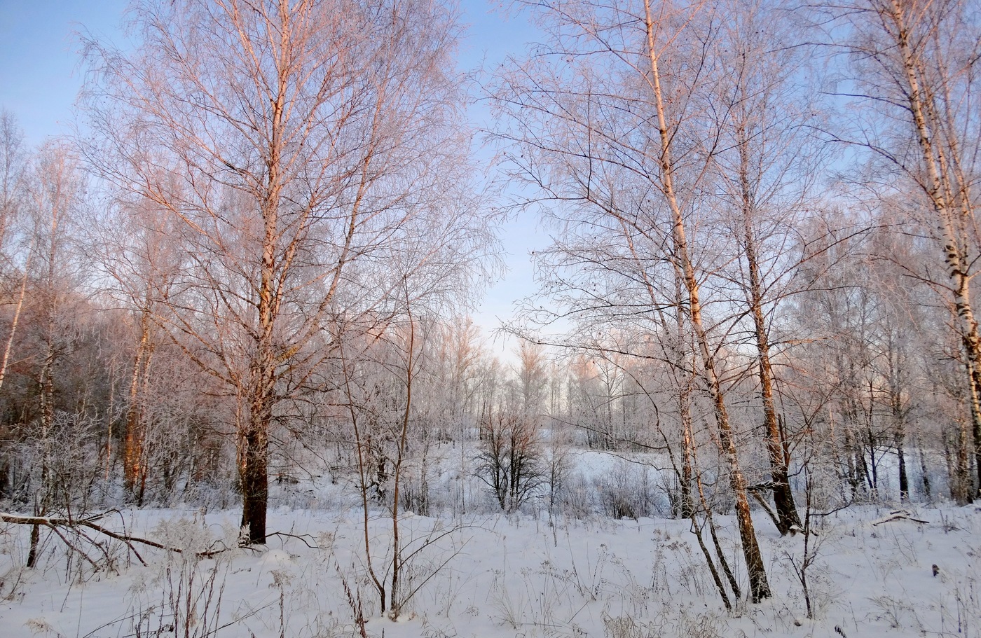 На закате морозного дня