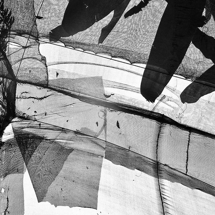 Бабочки в сетях