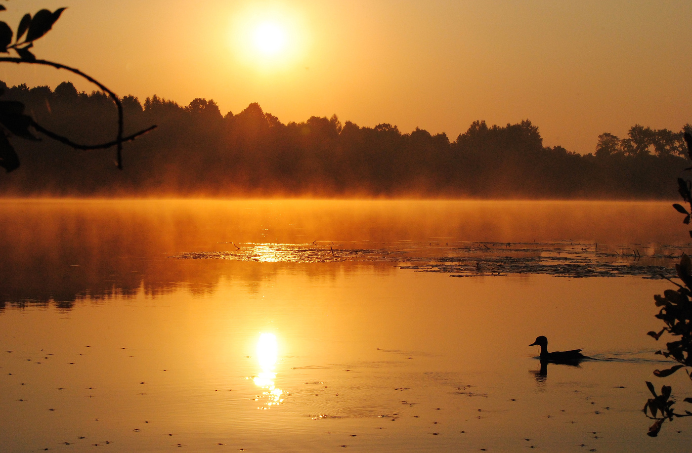 Золотого дня начало.