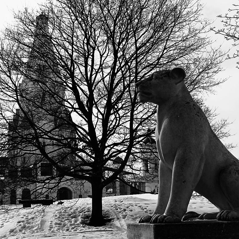 ФотоГрафика усадьбы "Коломенское"