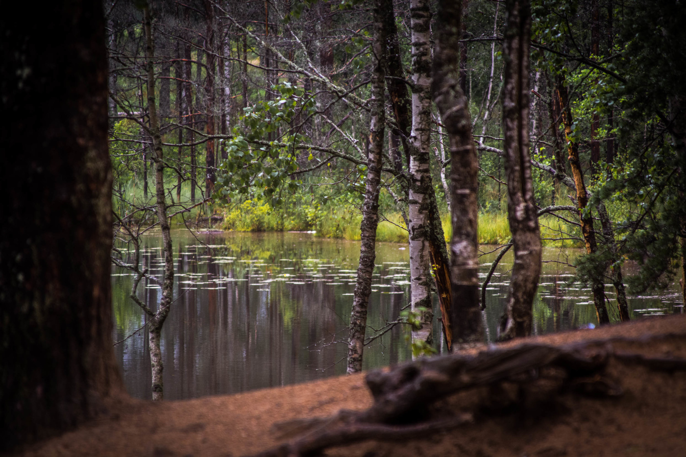 Клёвое место