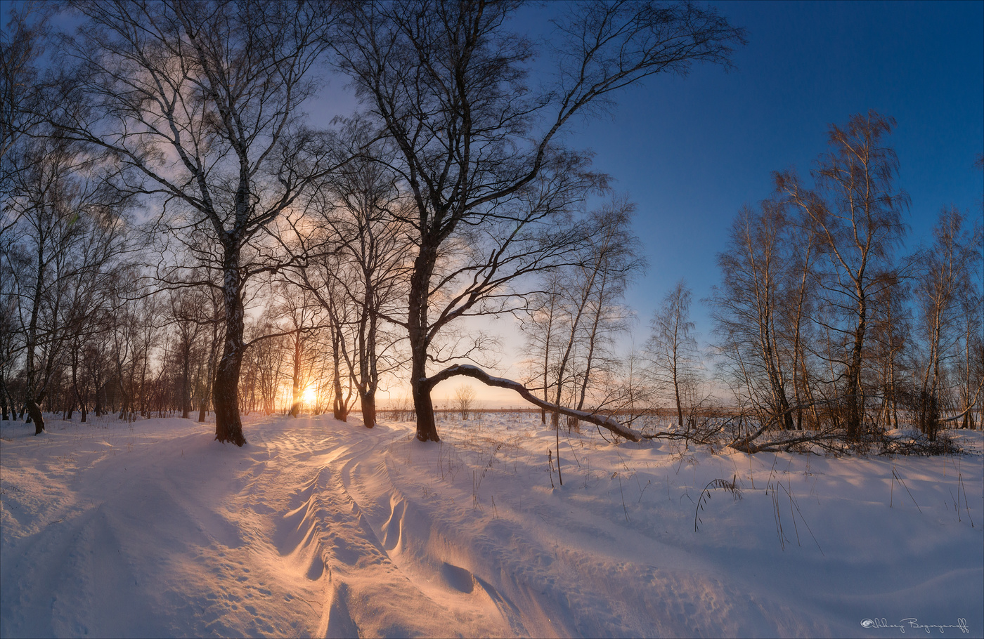 Цвета зимнего заката.