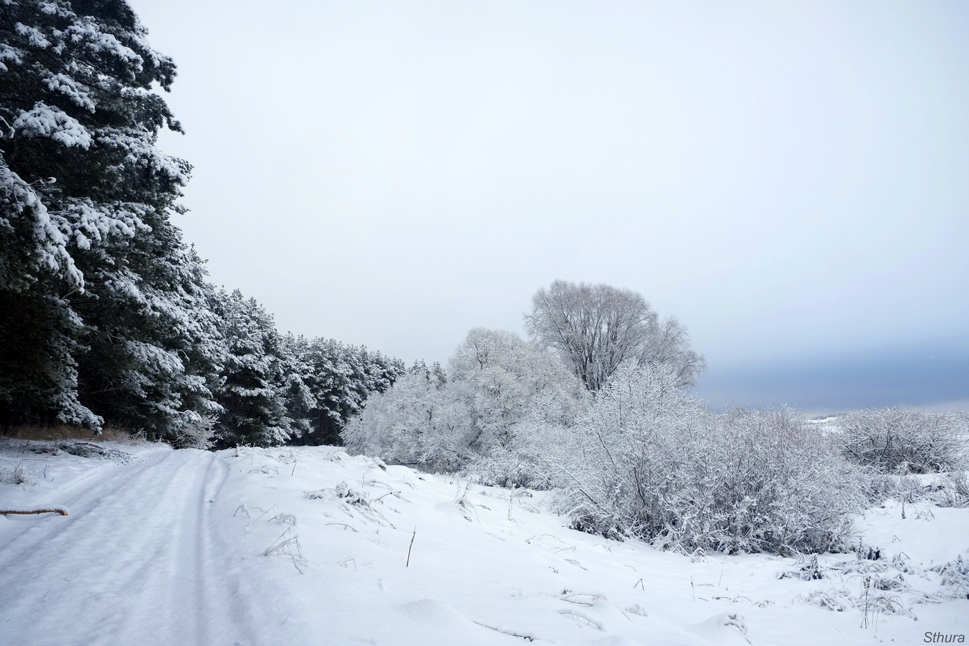 Зимний пейзаж.