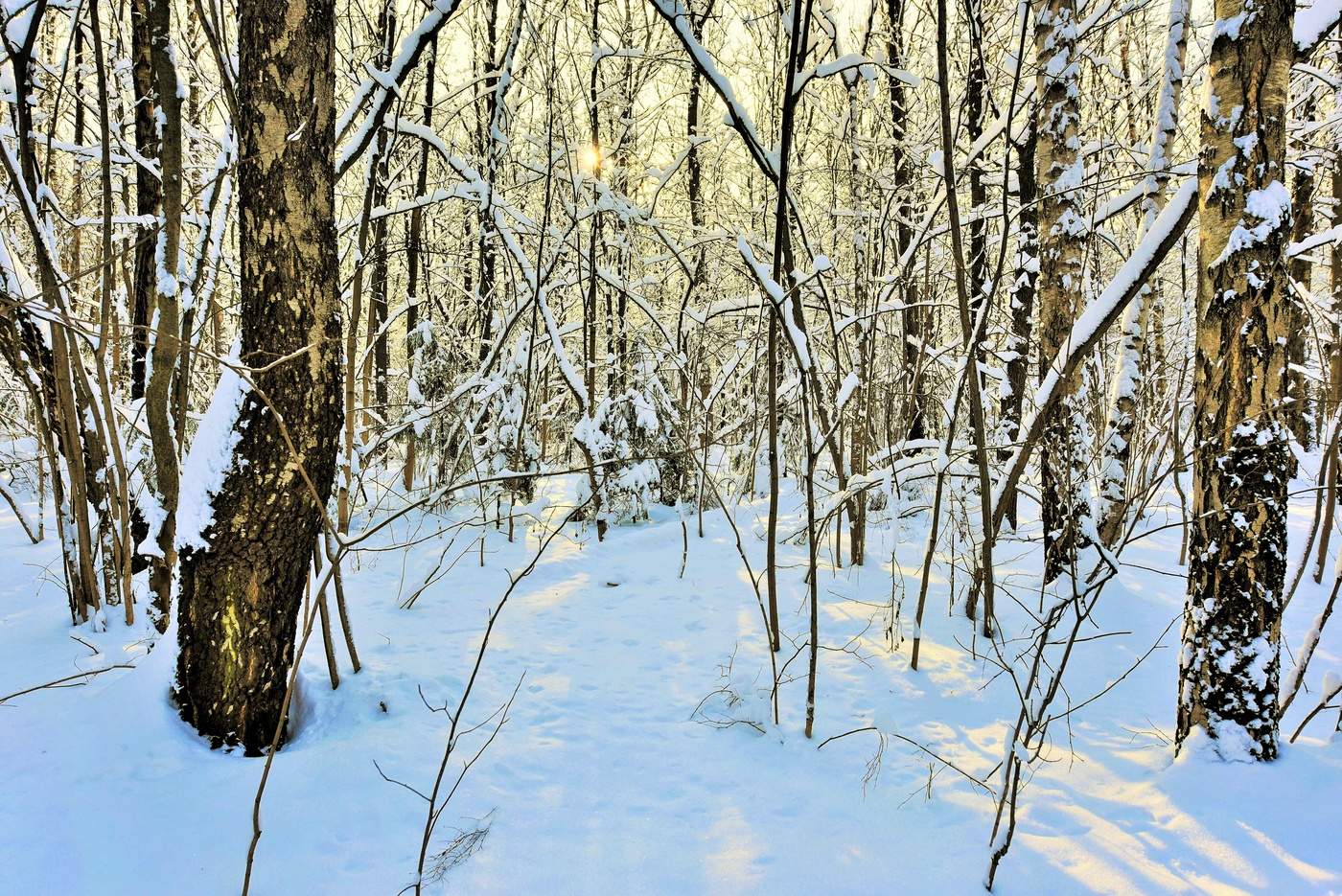 "Мороз и солнце - день чудесный ..."