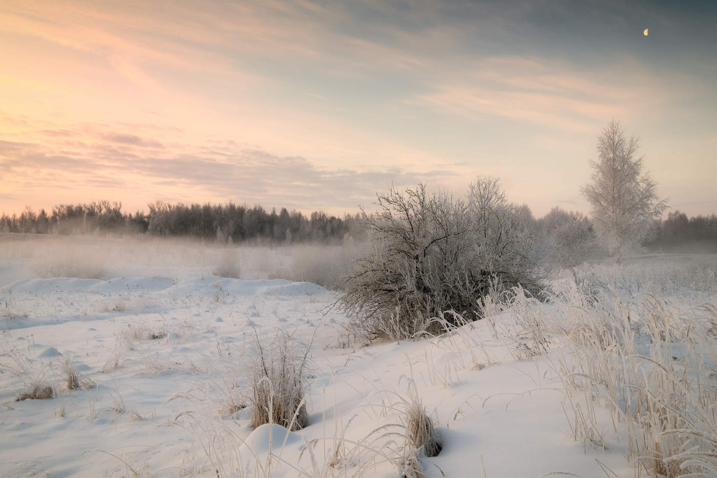 Морозное начало ясного дня