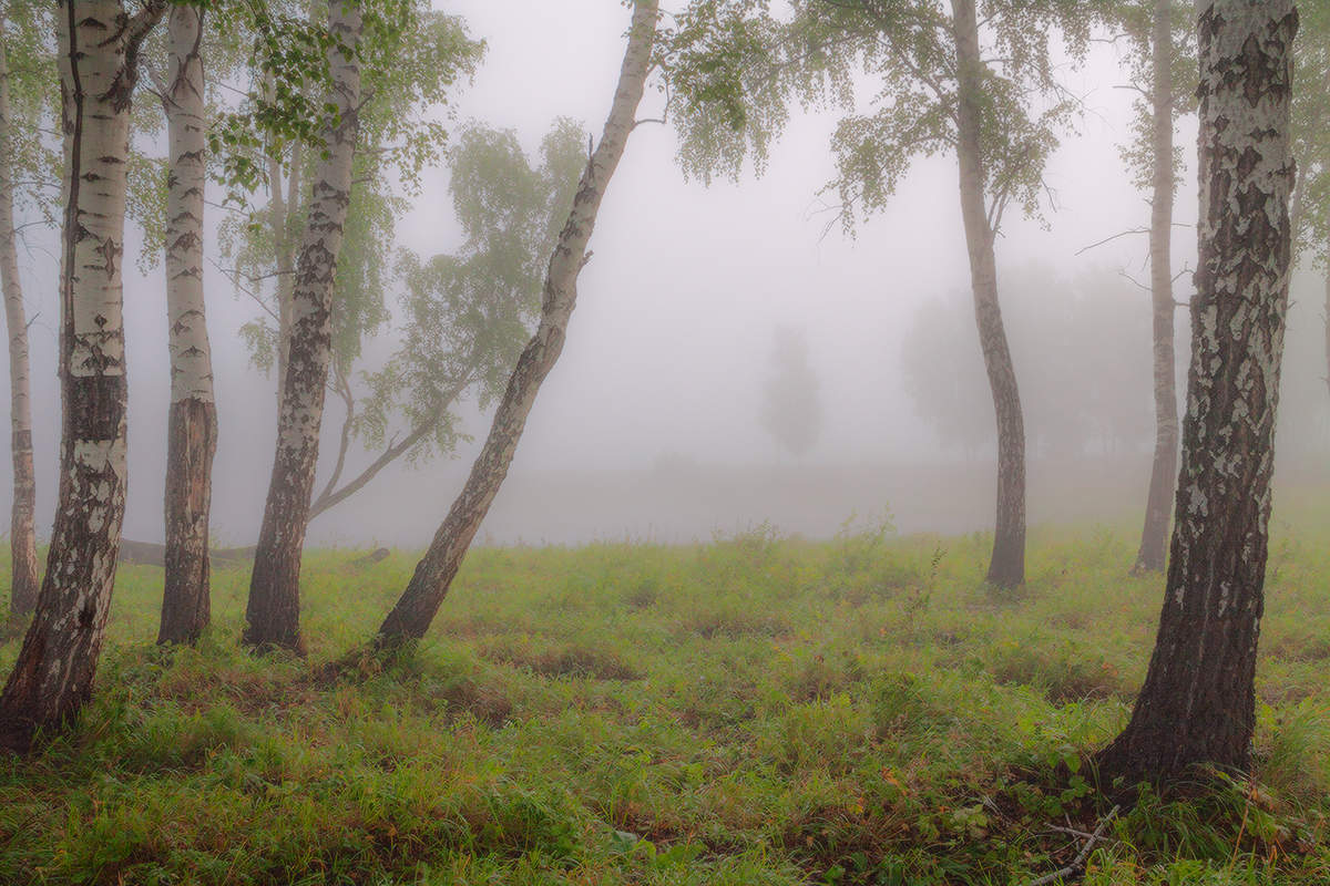 Продолжение августа
