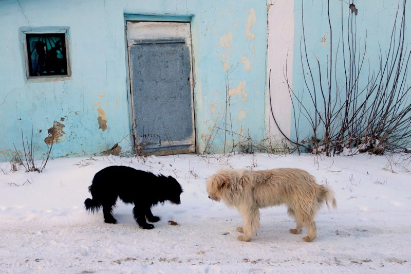 Не мое отраженье