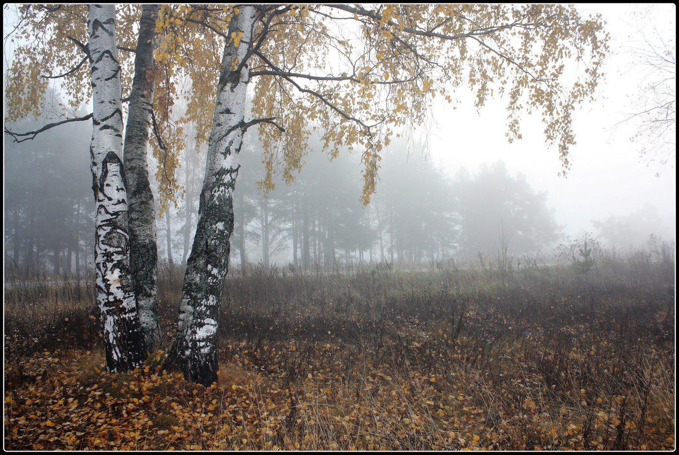 Осень хмурая подружка...