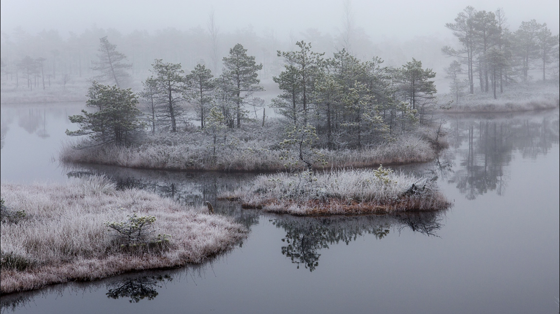 Песня болот