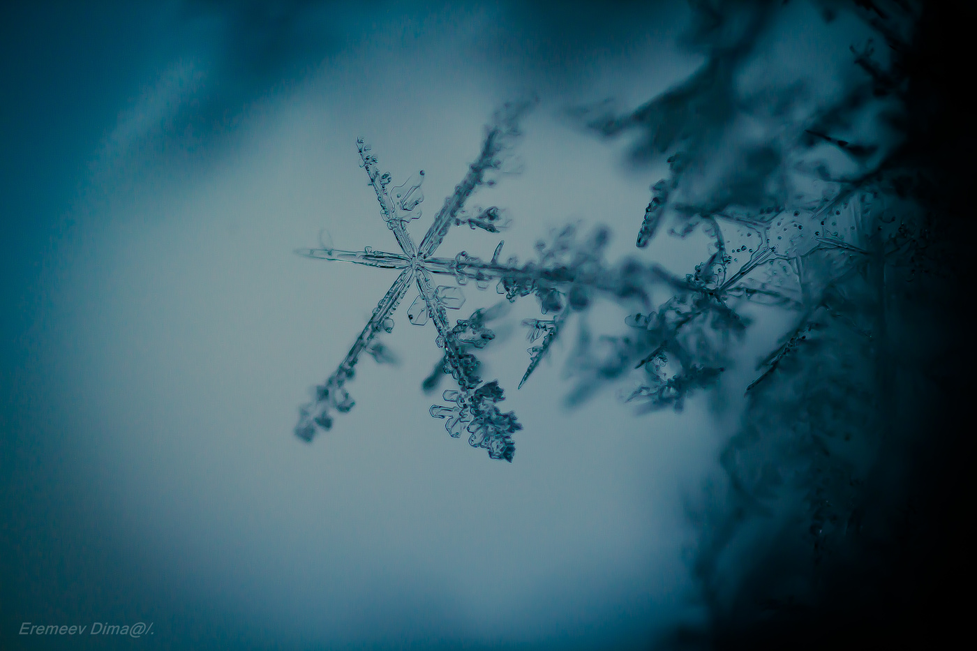 Мороз художник...