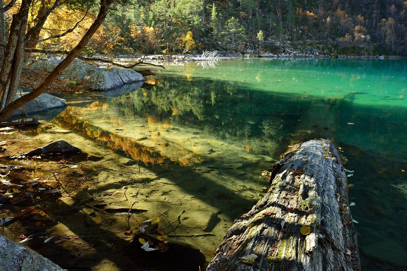 Не мое отраженье