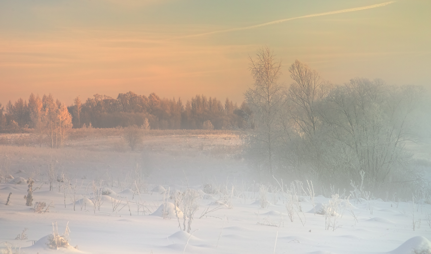 Царство мороза