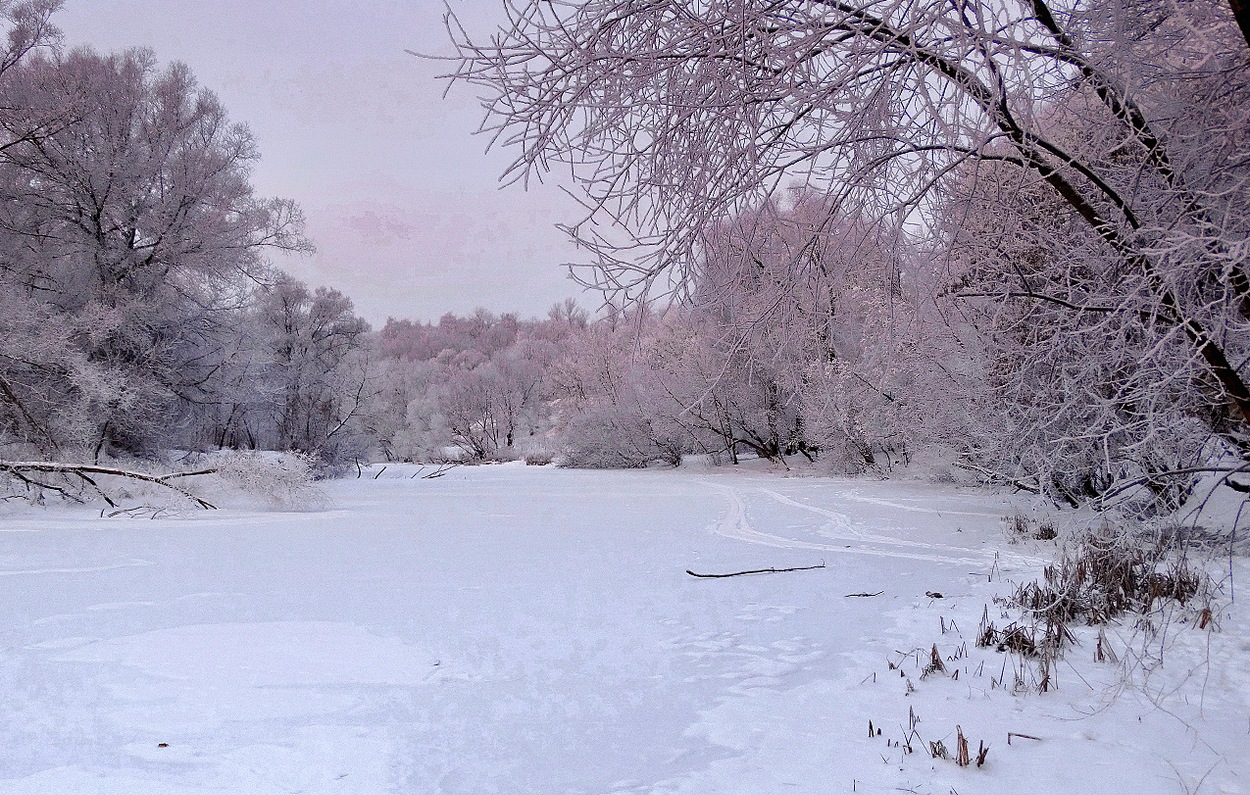 Розовые оттенки морозного утра