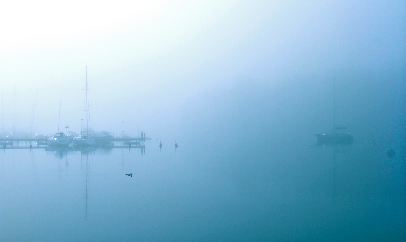Кому такое приснится во сне...