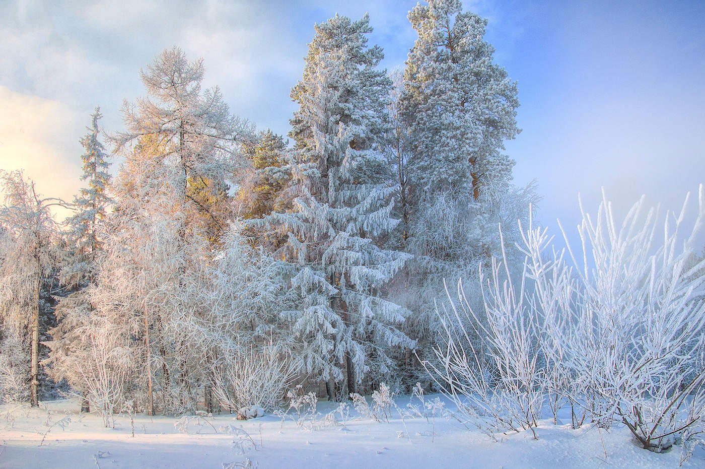 Морозный день