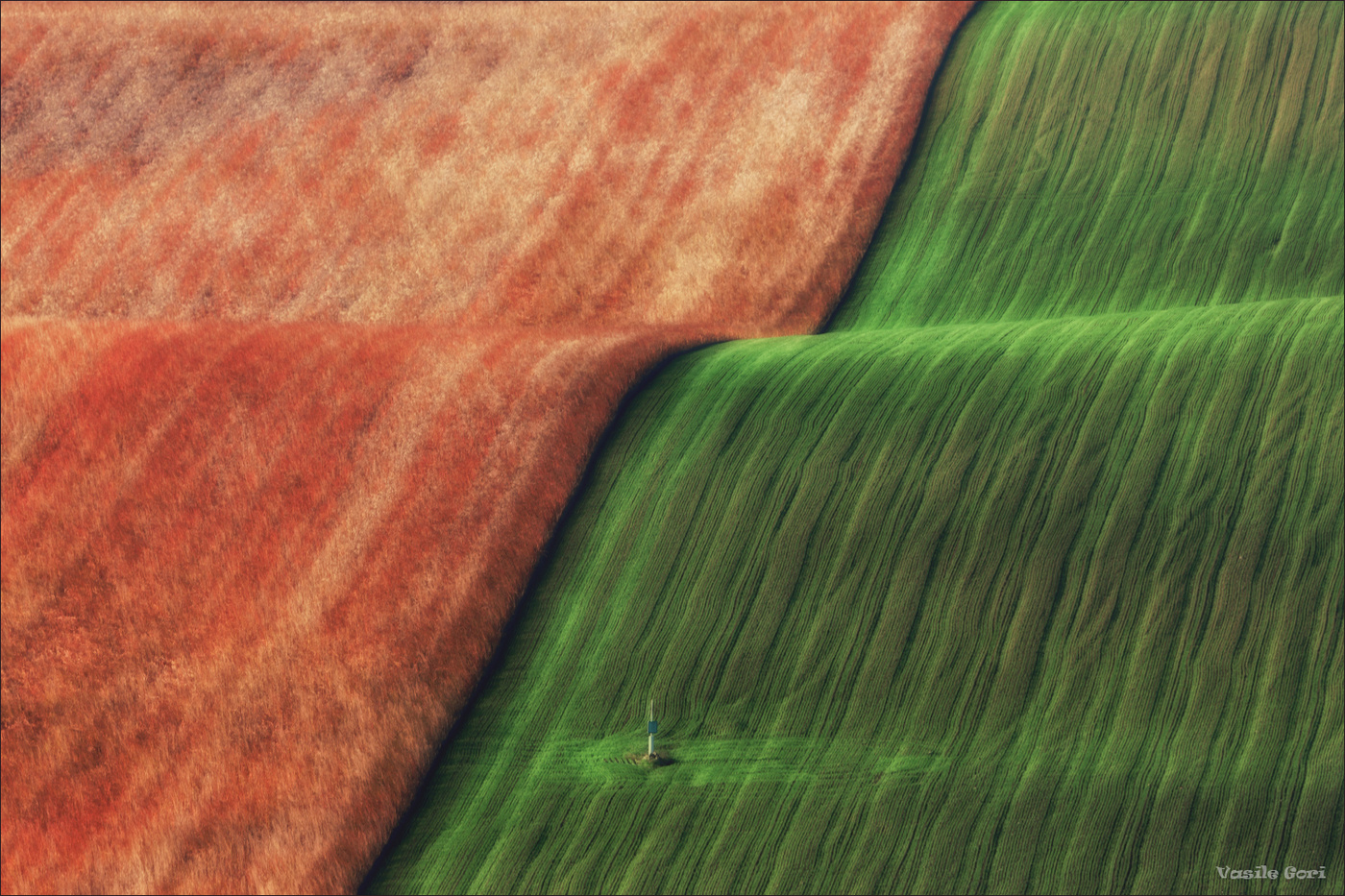 Осенняя ткань.