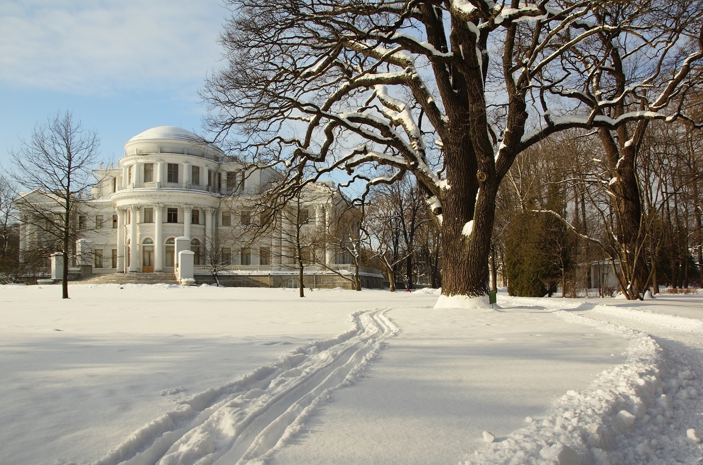 Зимняя прогулка...