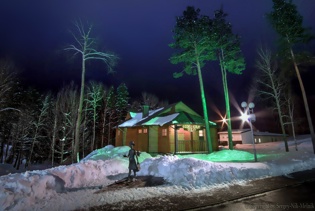 Банных дел мастер