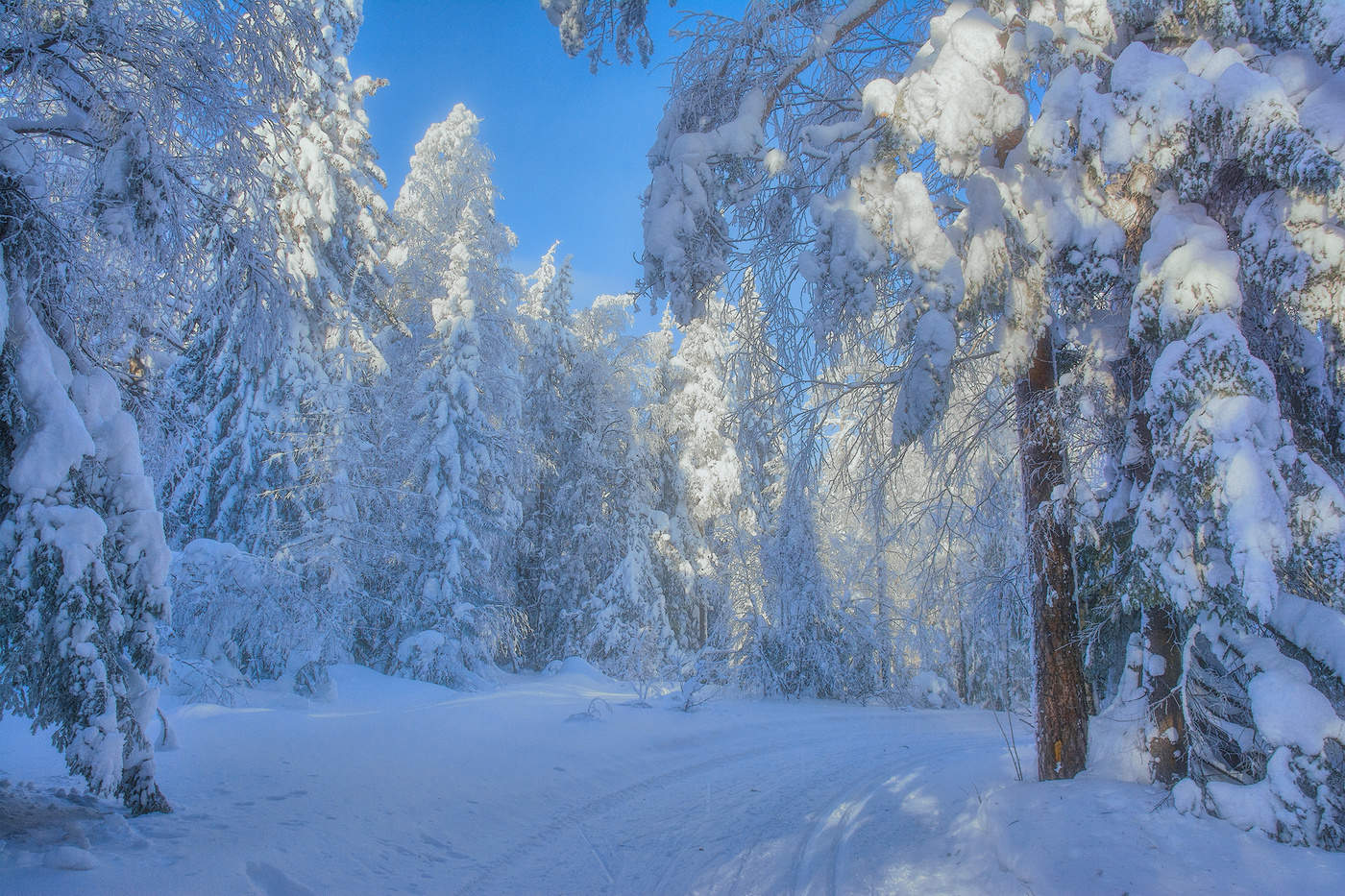 Голубая зима