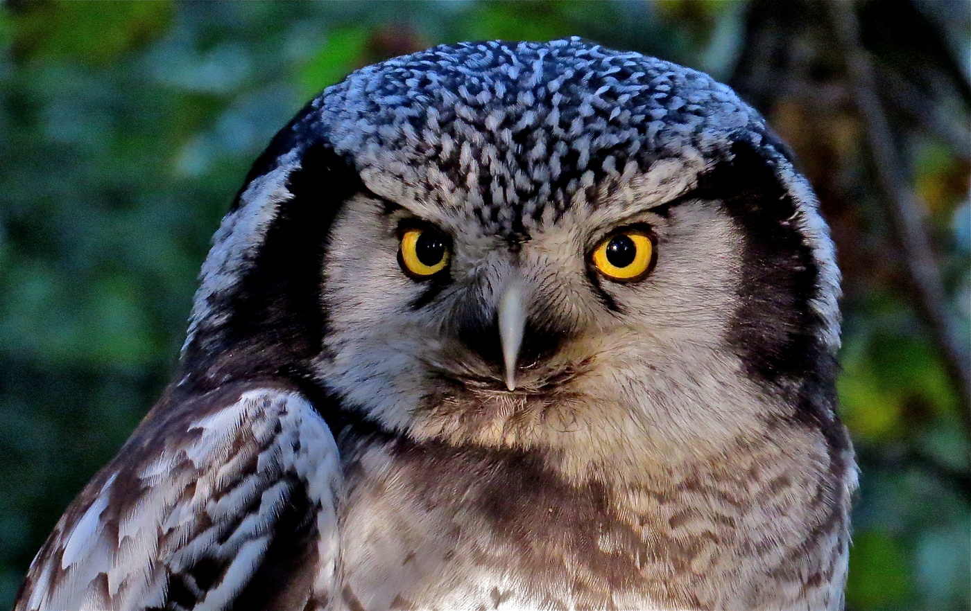 Глаза в глаза