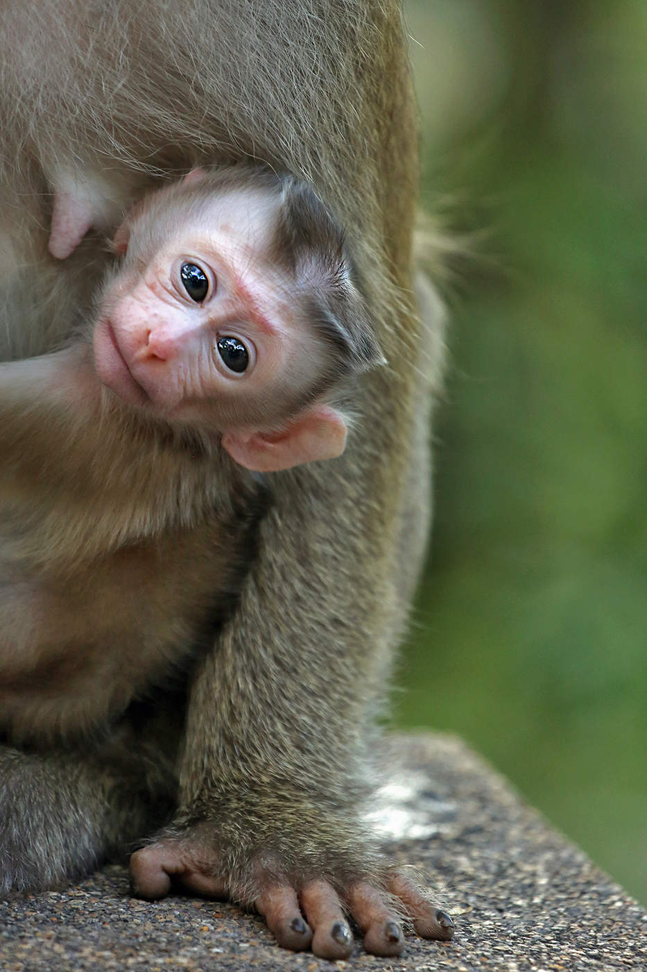 Не отвлекайте от дела