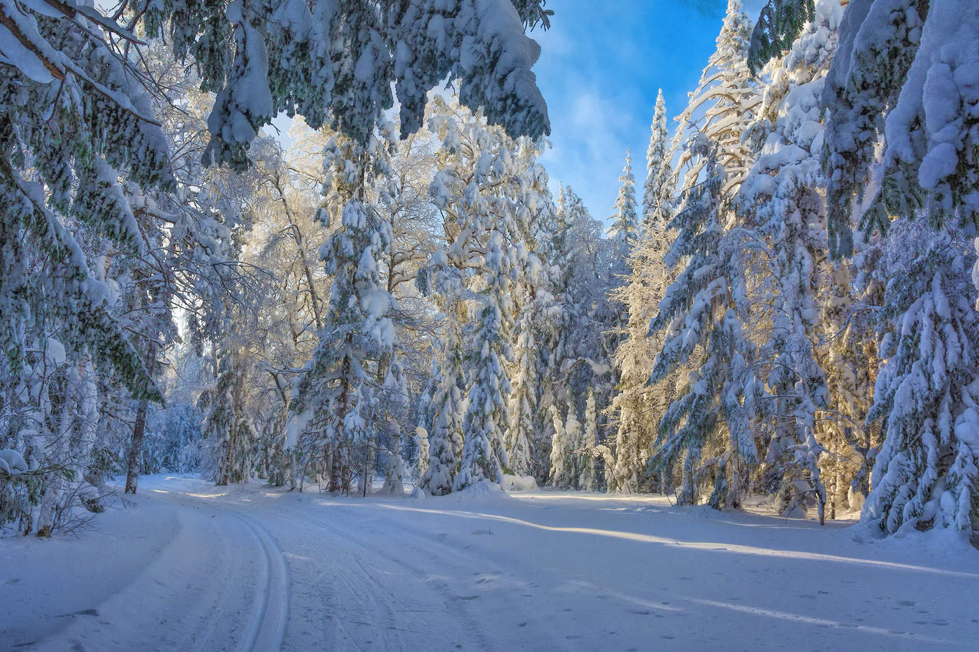 Убегающая вдаль