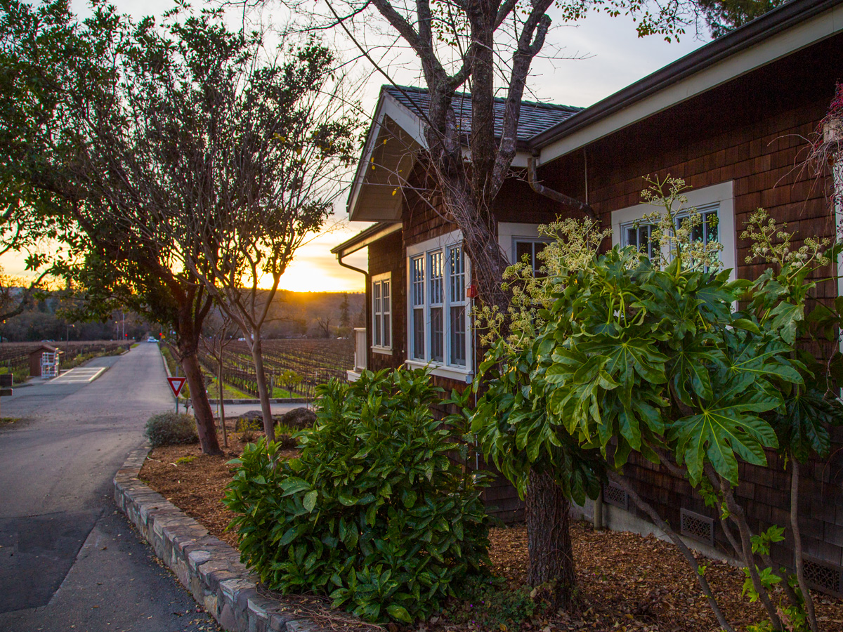 До свиданья, Сонома!