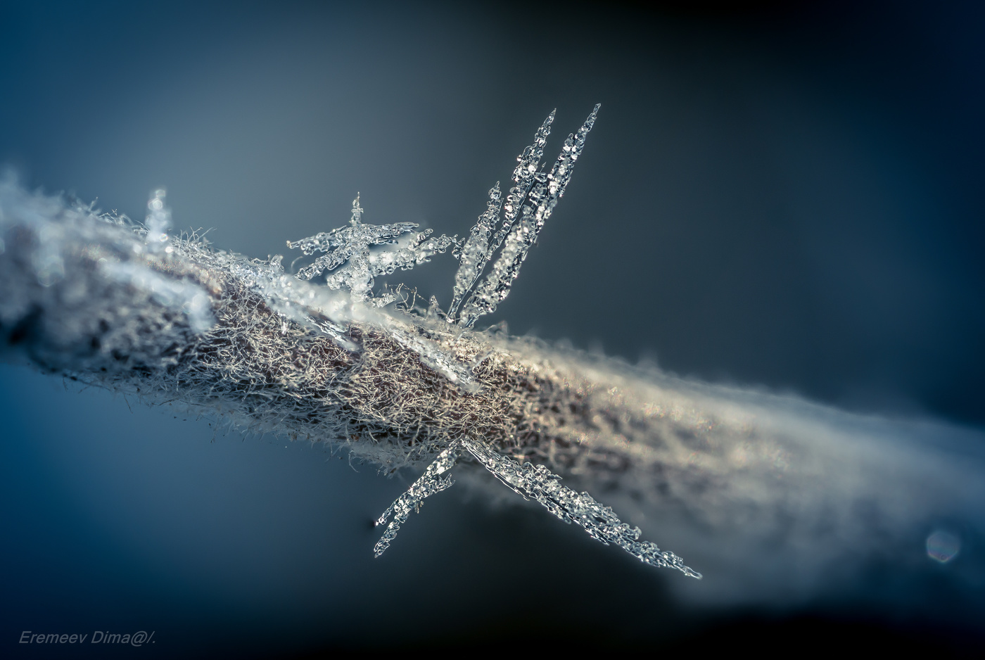 Ледяные иглы...