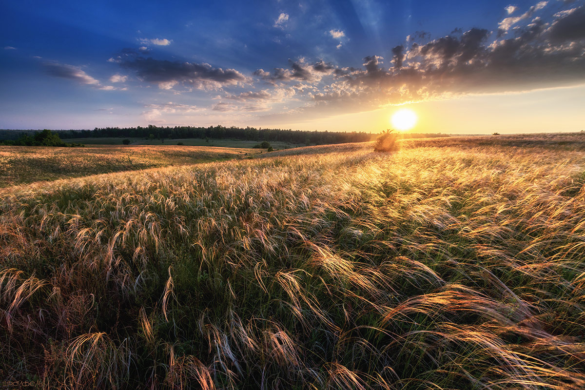 Серебро и золото