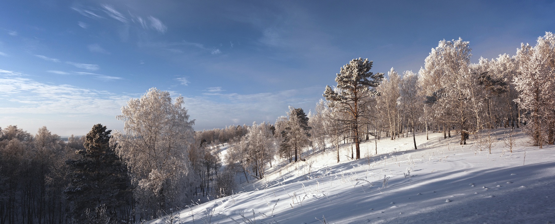На склонах зимы.