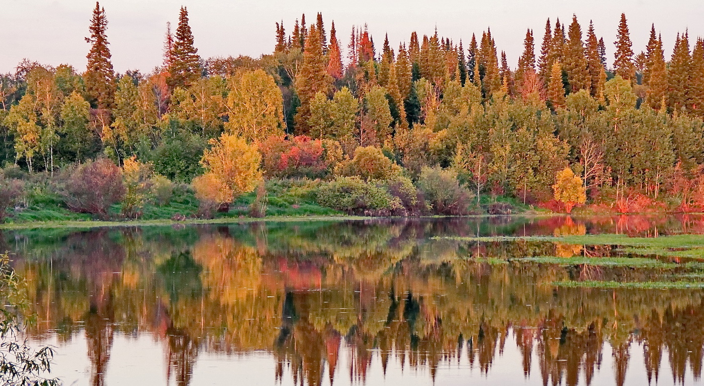 ТЕПЛЫЙ ВЕЧЕР