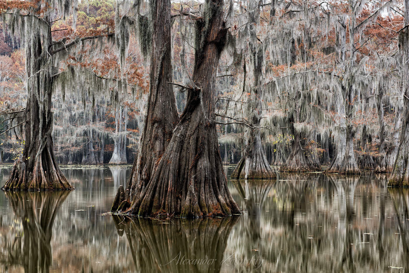 Осень в седине