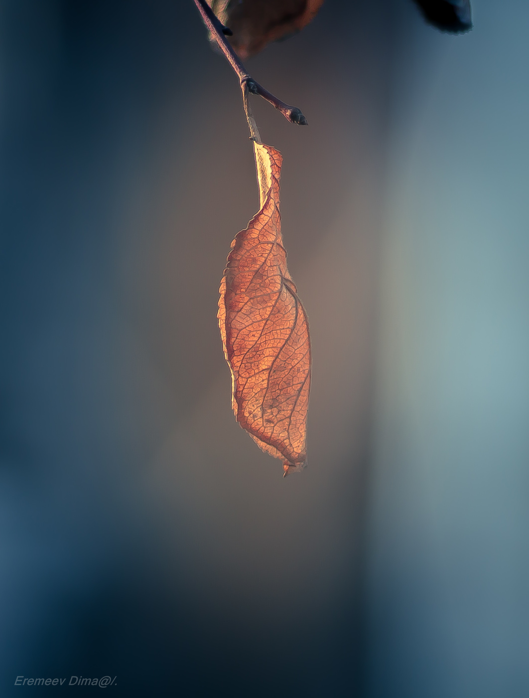 Оранжевый огонёк...