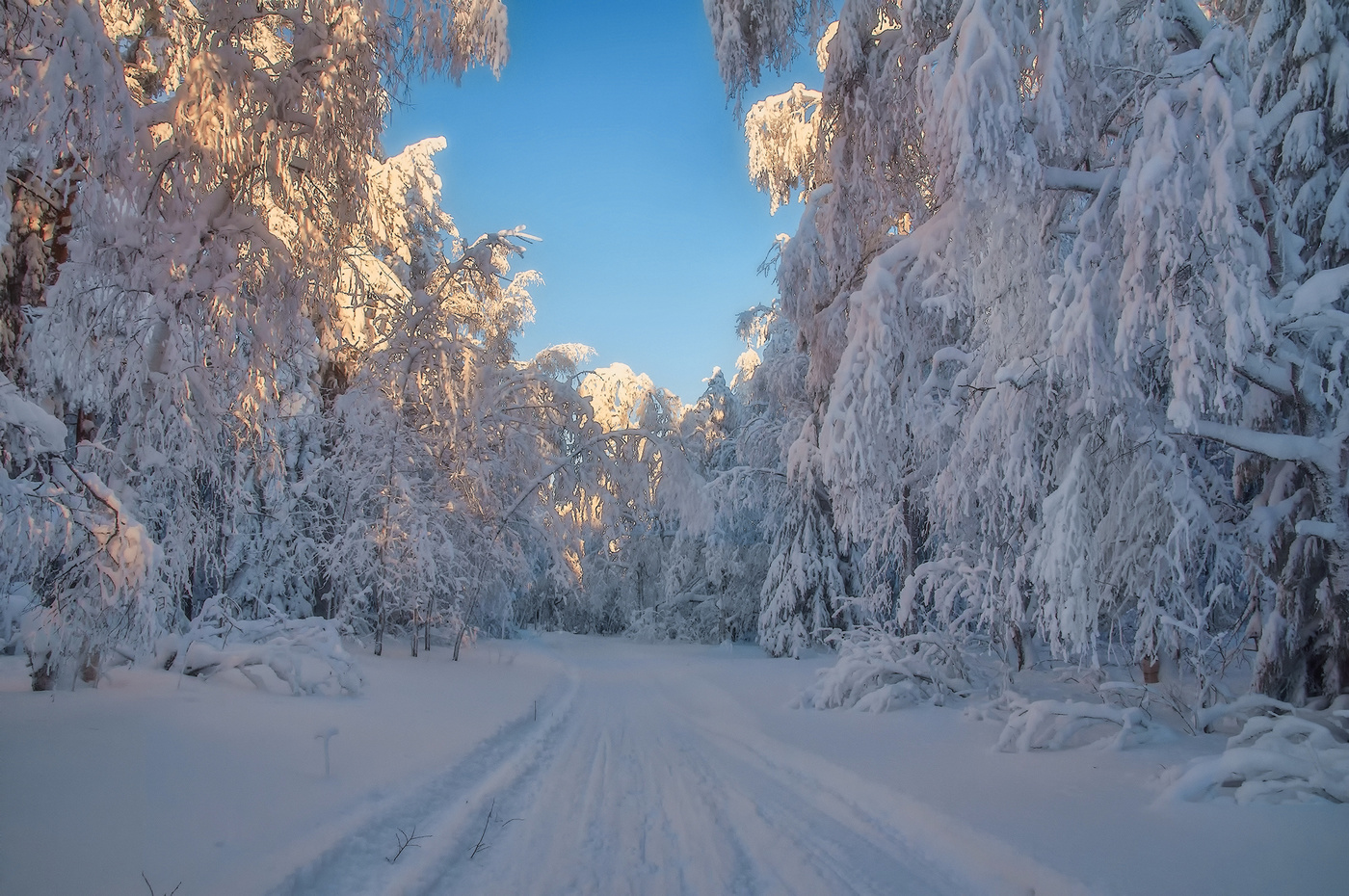 И только неба клочок