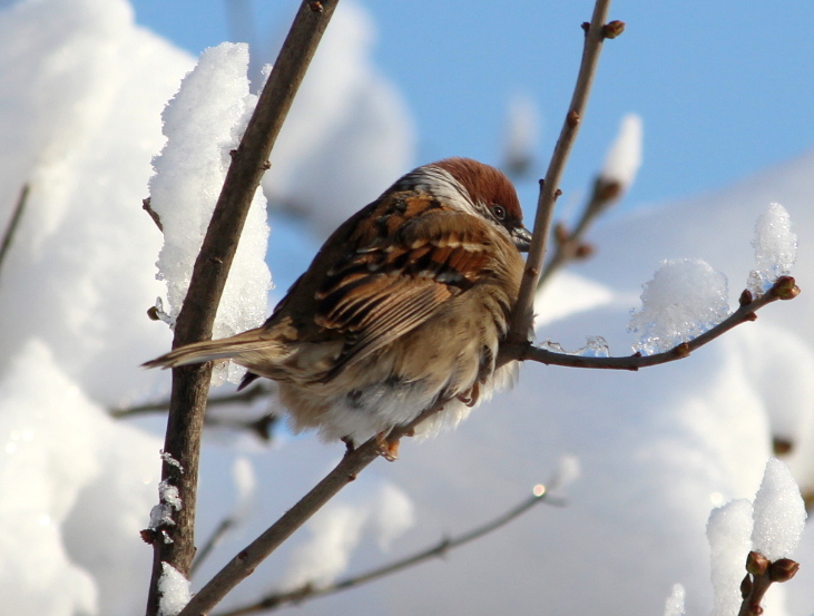 Хорошо на солнышке погреться!