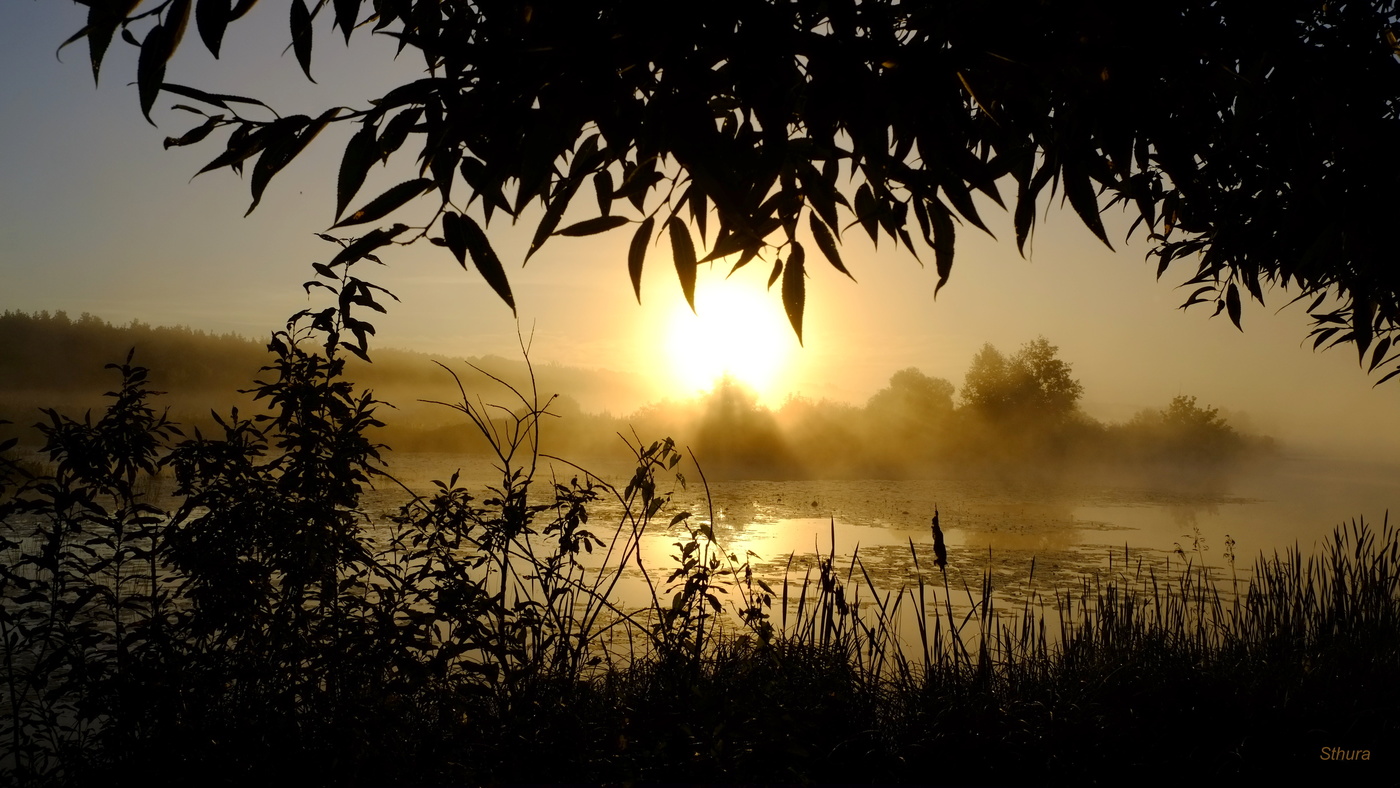 Утренний пейзаж.