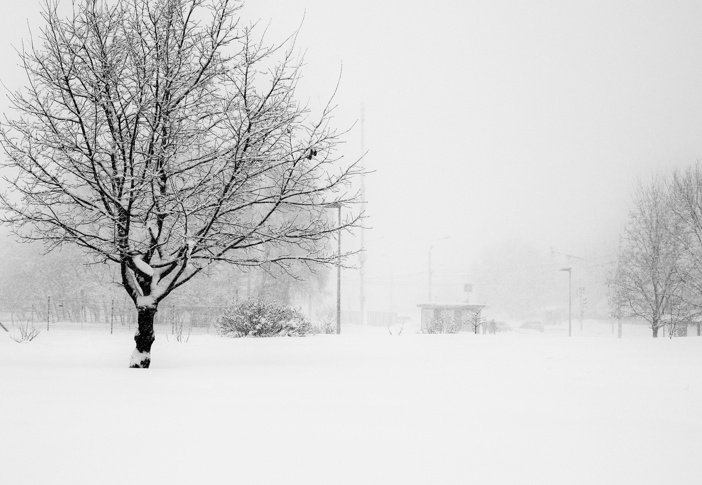 Снежный февраль ...