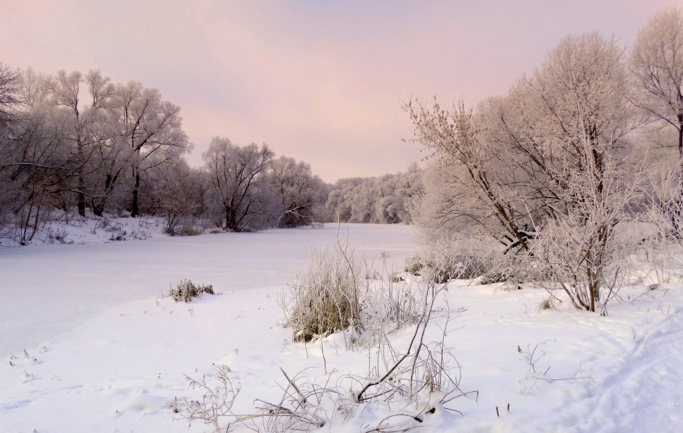 Морозное утро