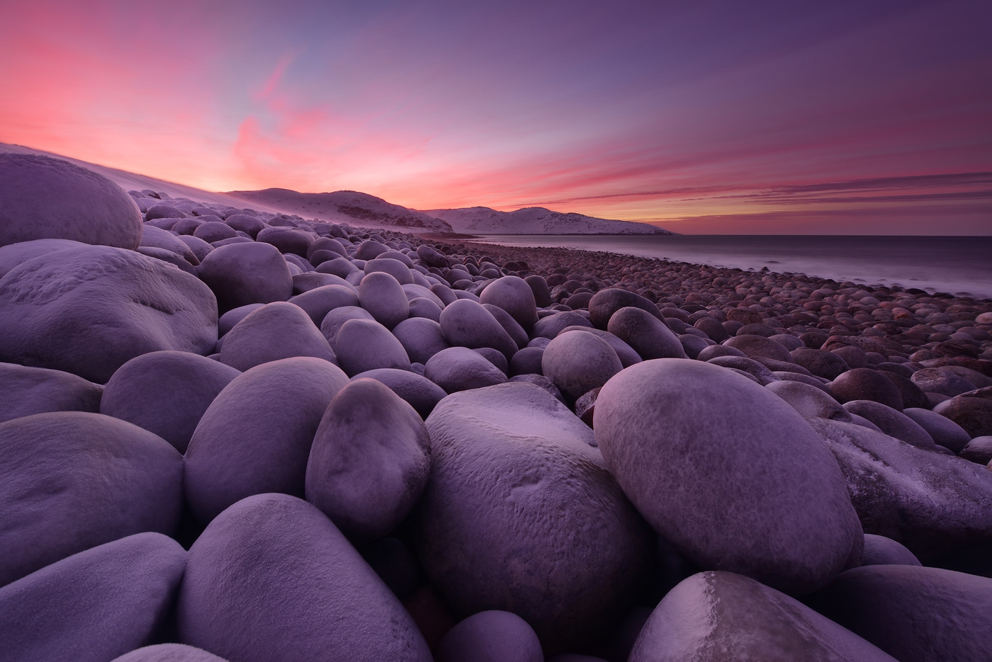 Скоро начнут вылупляться... :)