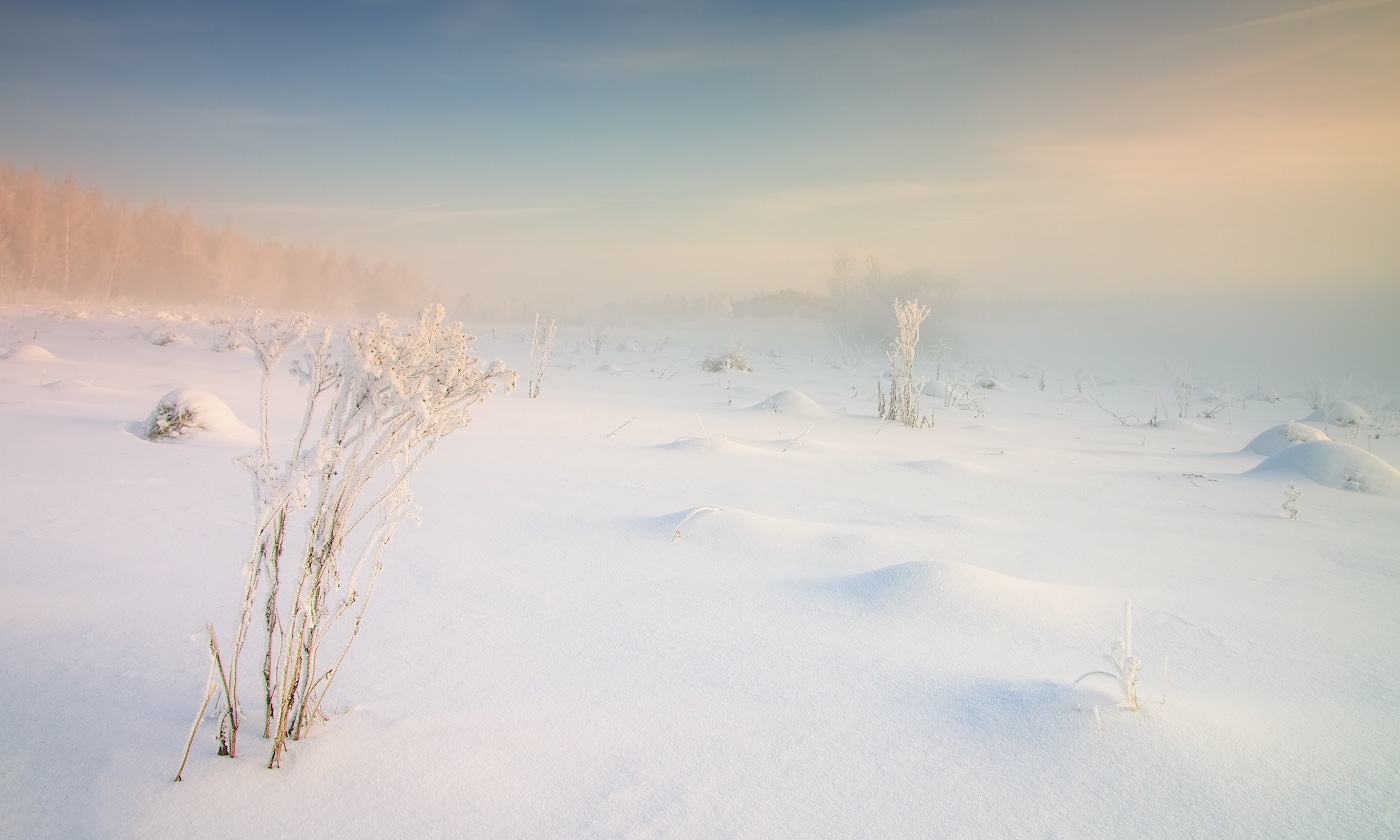 Бодрое утро