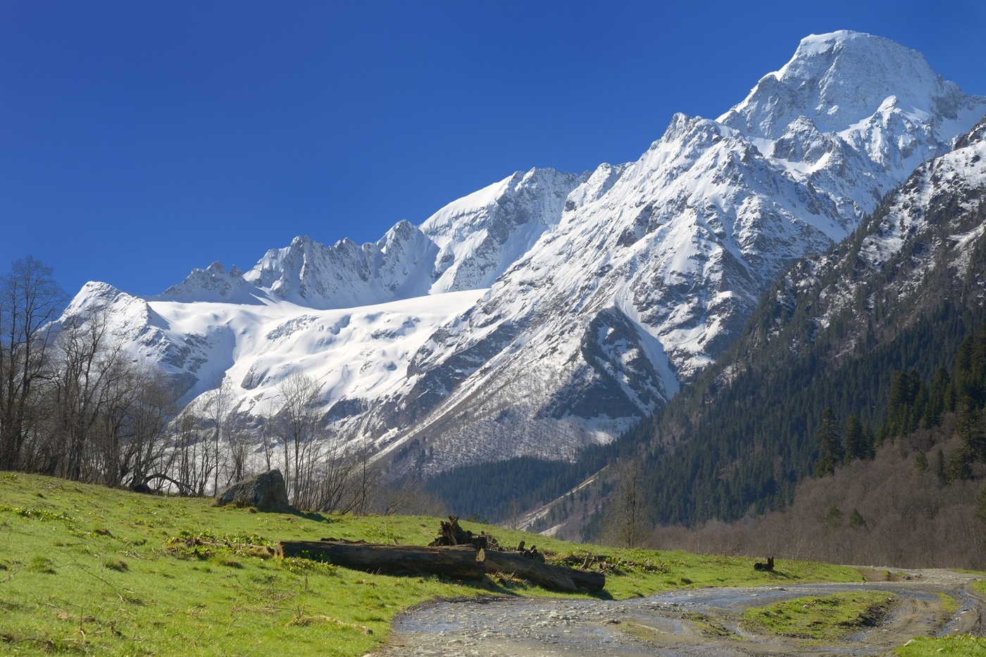 Бодрое утро