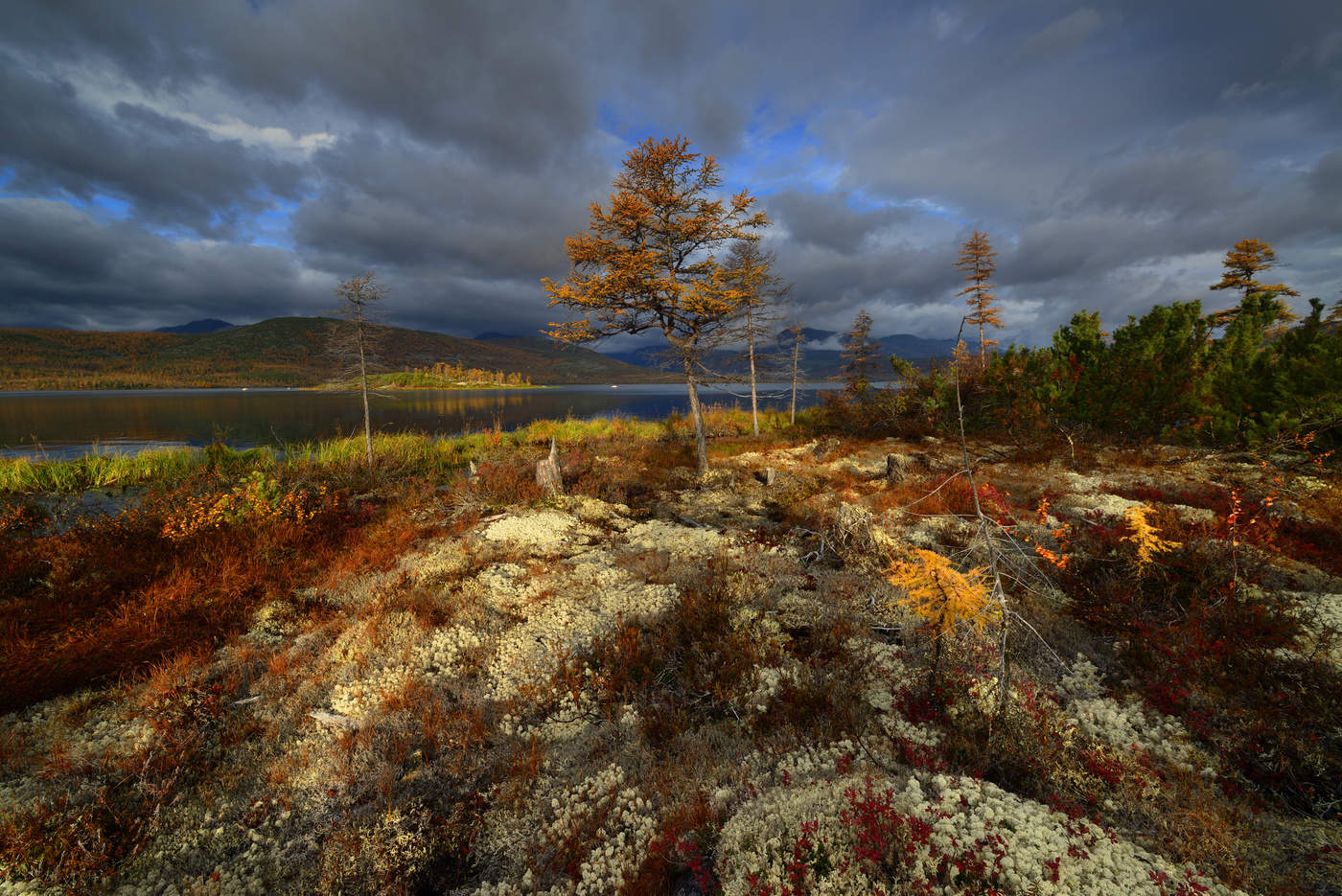 Такая осень...