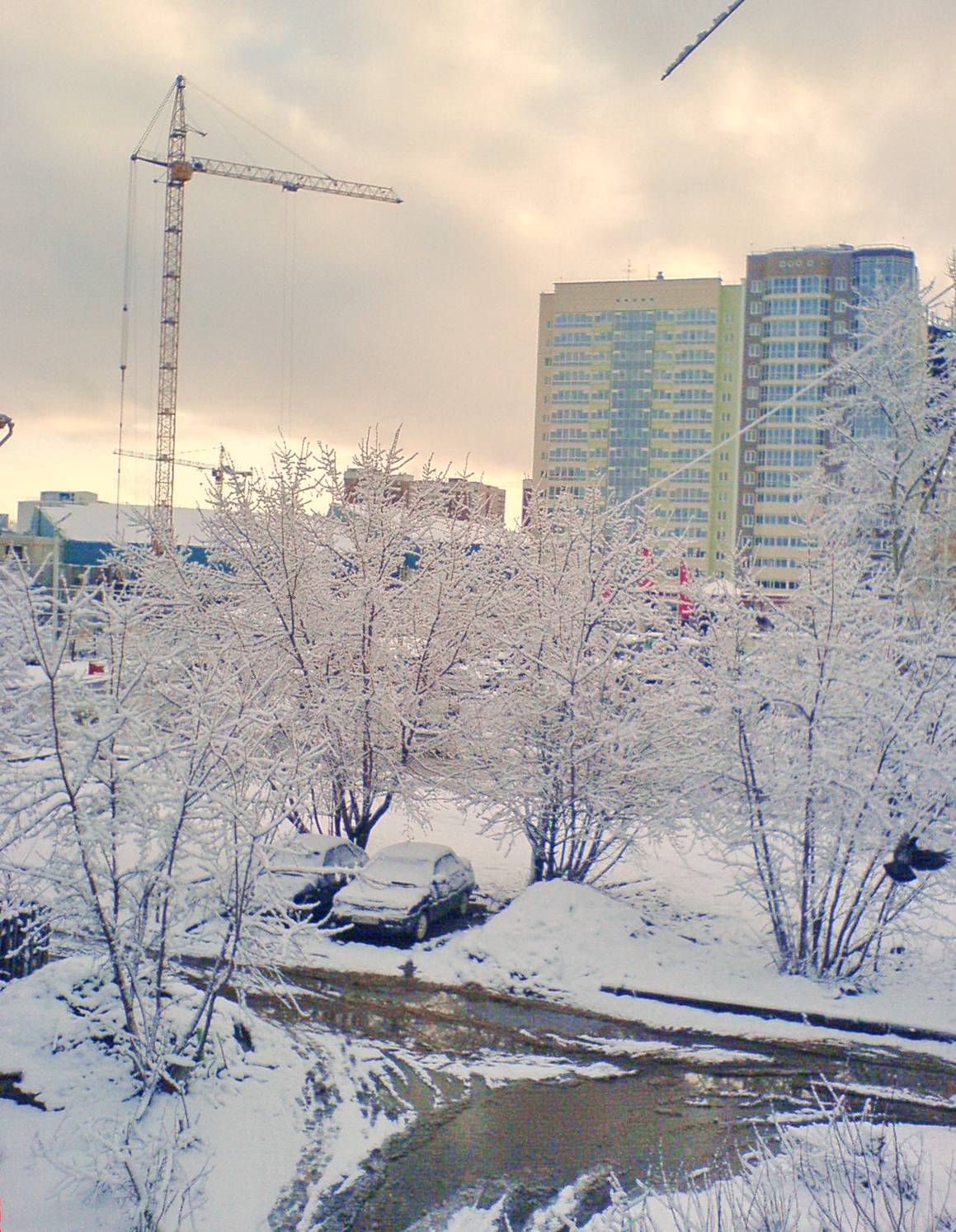 Бодрое утро