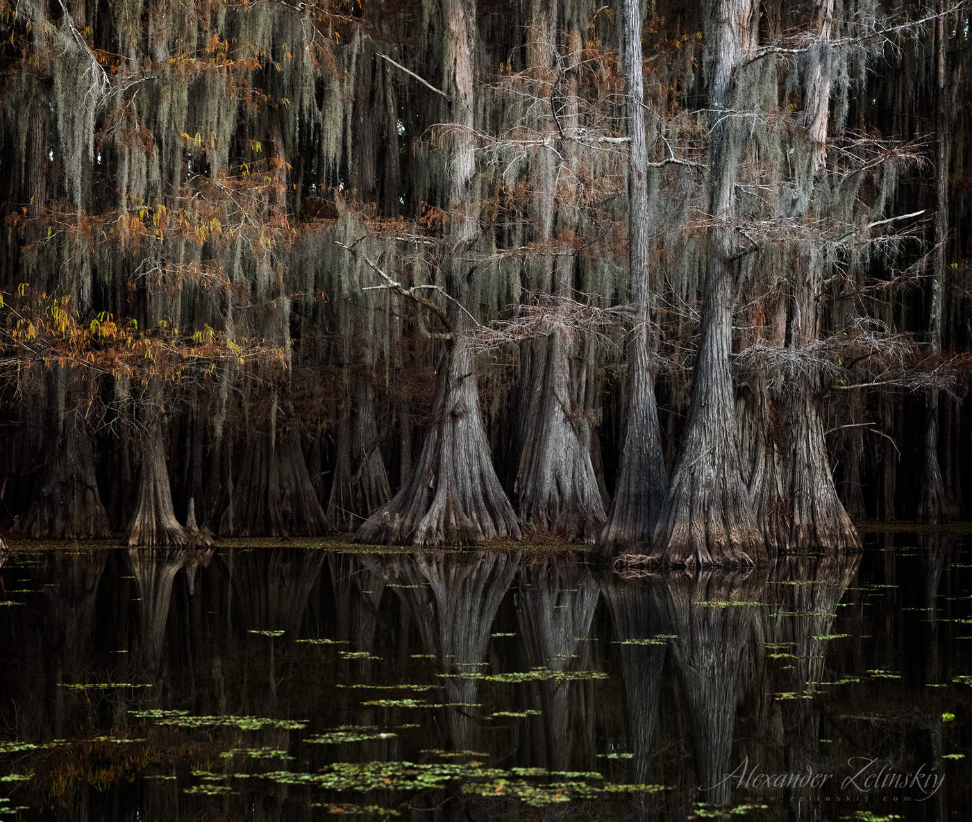 Осень патриархов