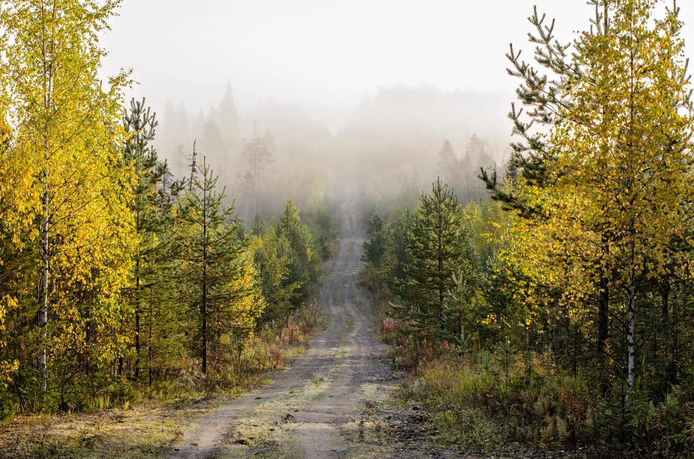 Бодрое утро