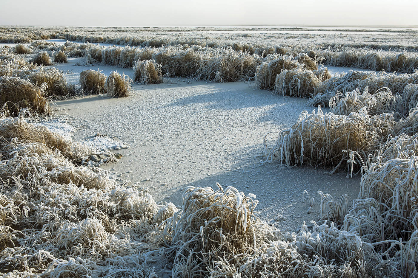 Бодрое утро
